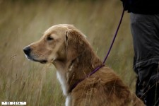 Piper Beim Mock Trial